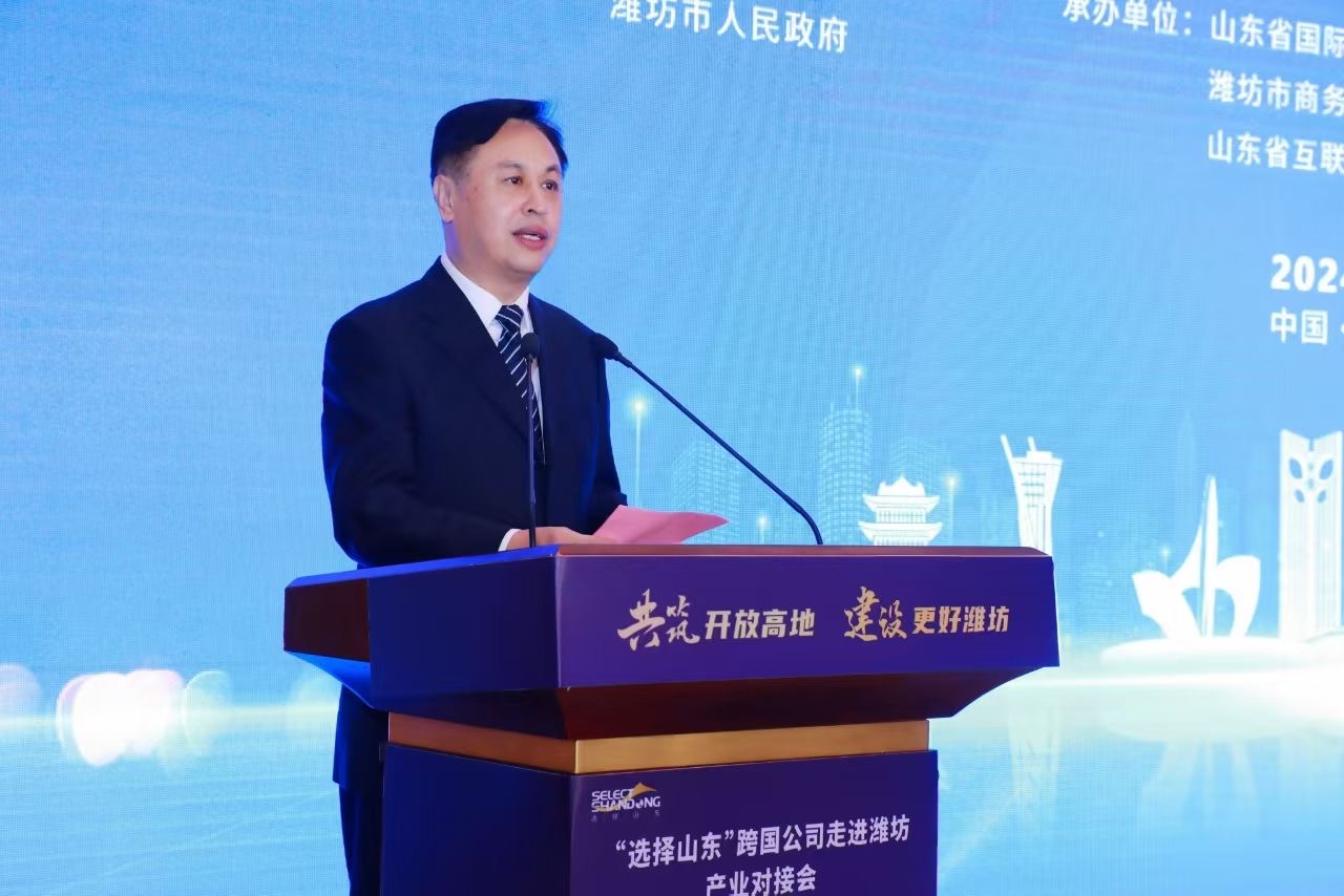低空经济跨国巨头齐聚潍坊 “选择山东”跨国公司产业对接会深化多领域合作(图2)