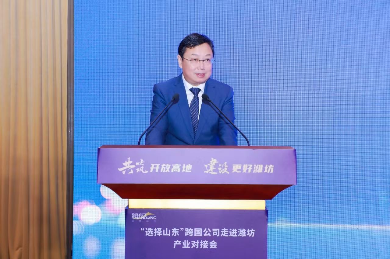 低空经济跨国巨头齐聚潍坊 “选择山东”跨国公司产业对接会深化多领域合作(图3)